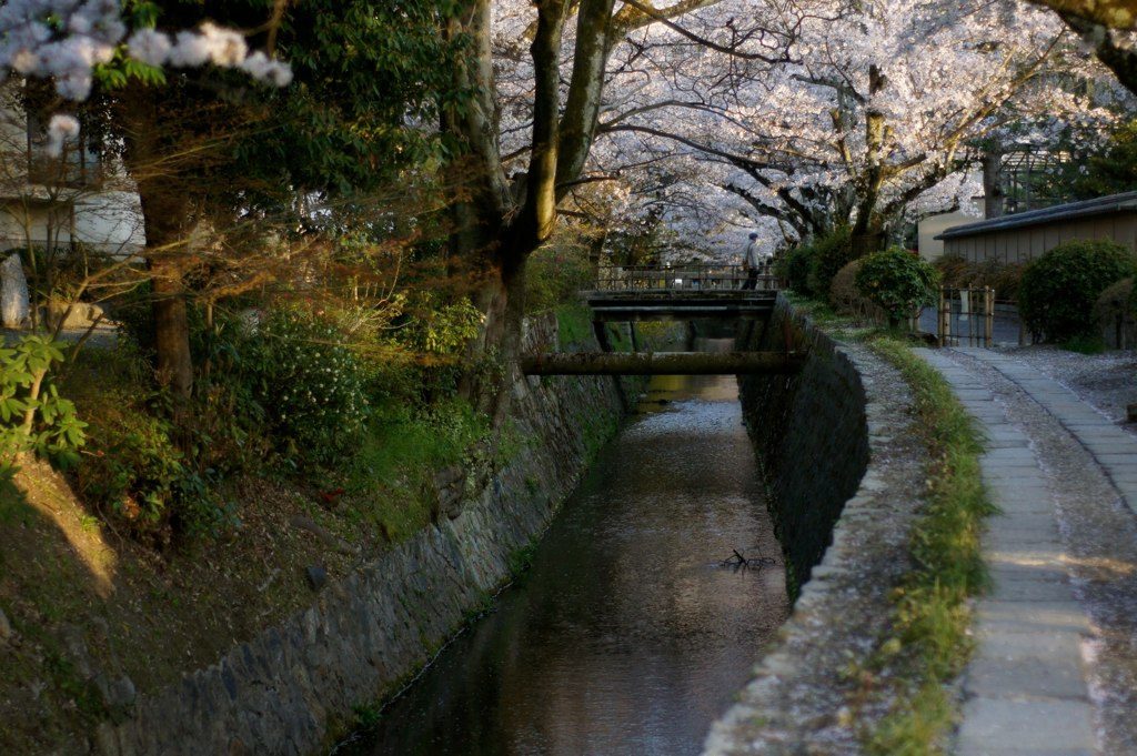 Uji river and Byodo-in Temple