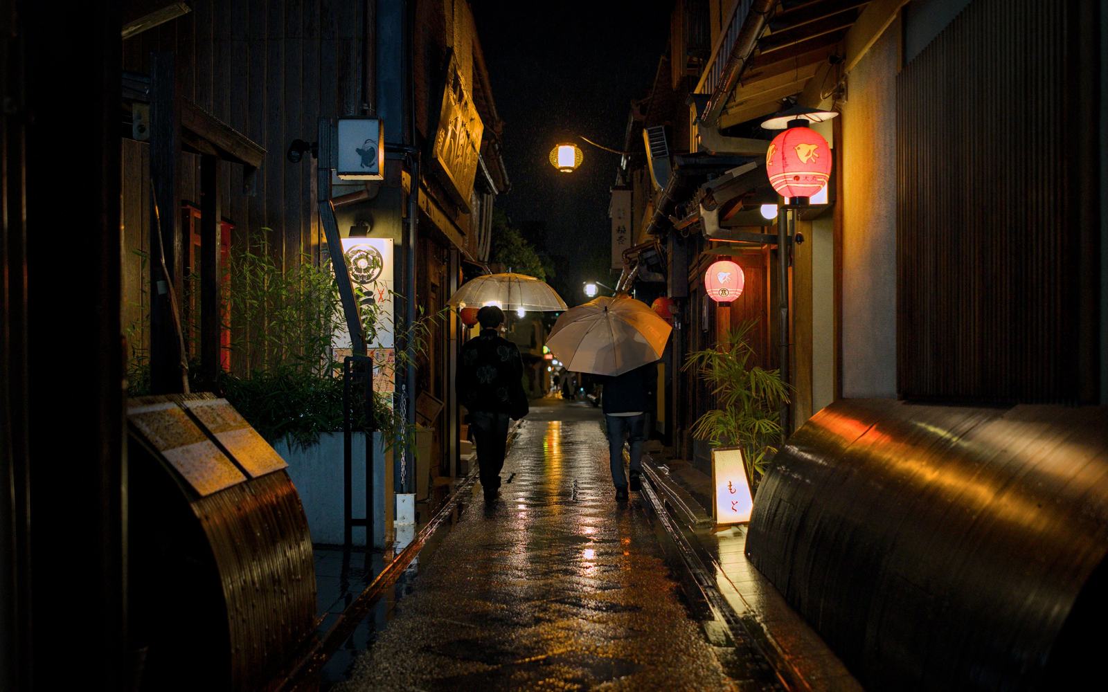 Pontocho alley on a rainy evening, lanterns reflected on wet stone