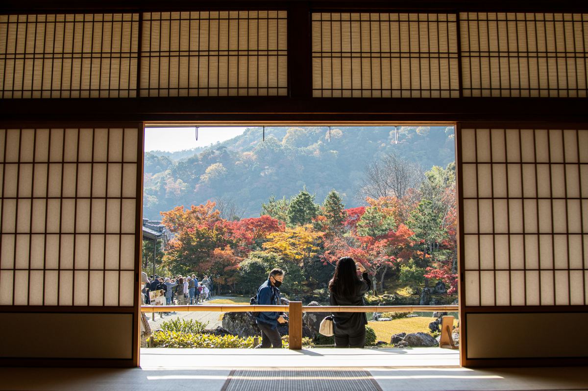 Torii gates at Fushimi Inari Shrine, Kyoto